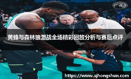 黄蜂与森林狼激战全场精彩回放分析与赛后点评